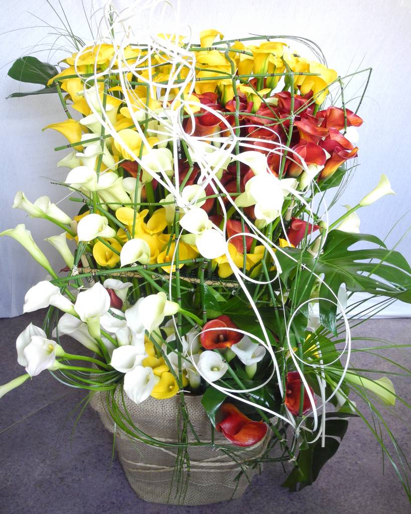 FLORABEL