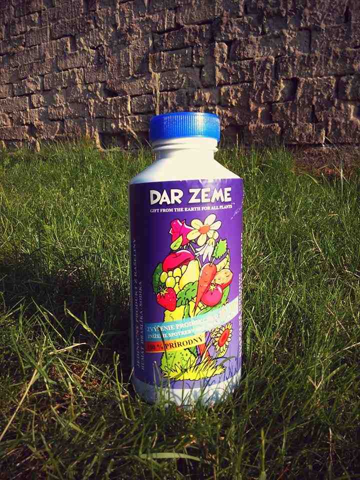 DAR ZEME
