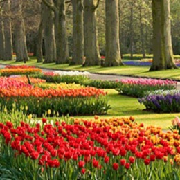 REAL GARDEN