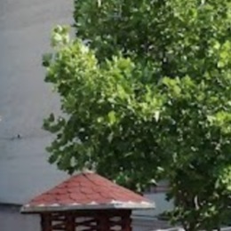 ARCUS - Špecializované zariadenie, zariadenie pre seniorov a domov sociálnych služieb