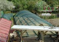 LUKULUS