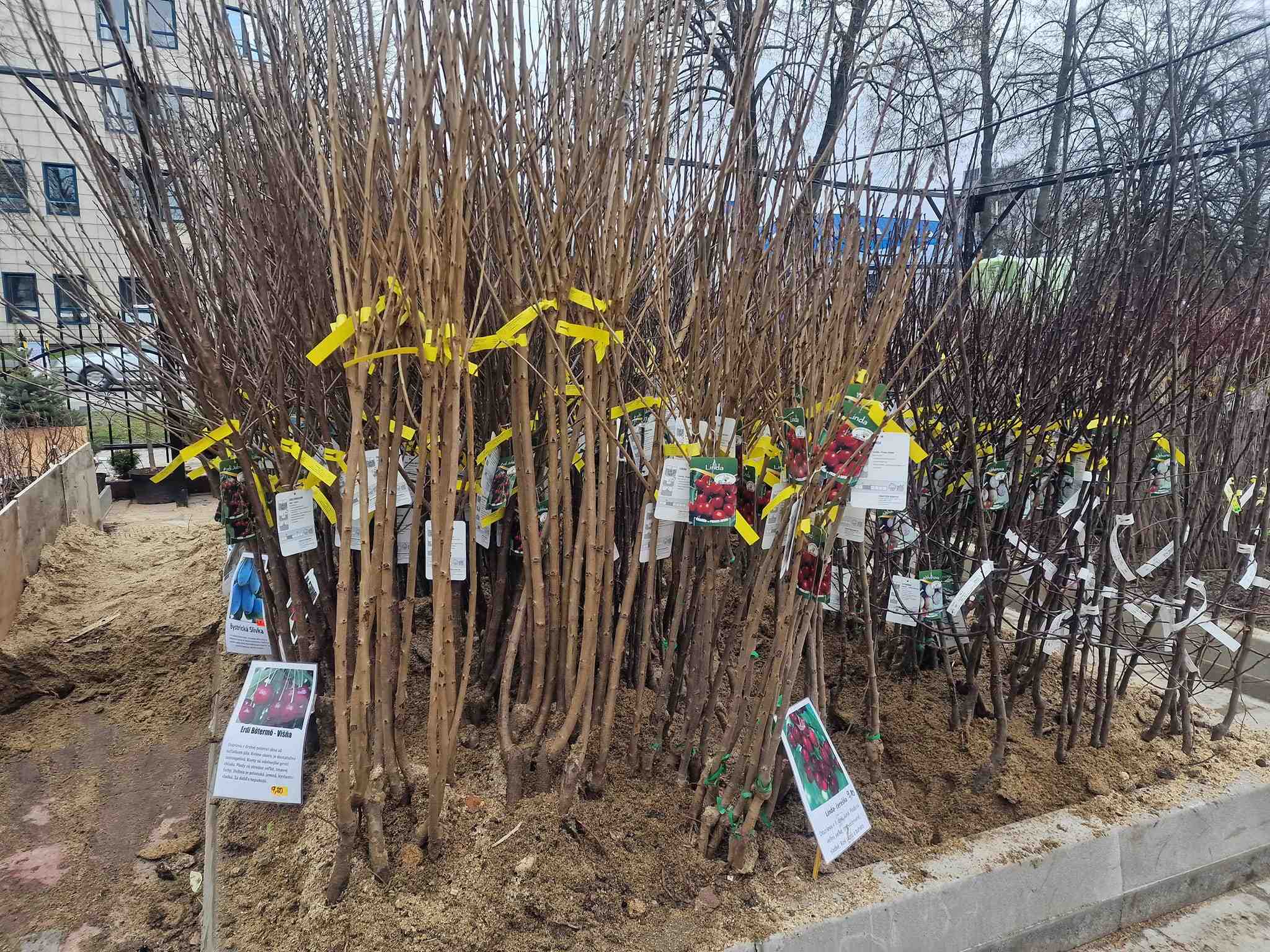 Kvetinárstvo a záhradníctvo Hanik