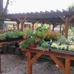 EcoFemina, s.r.o.