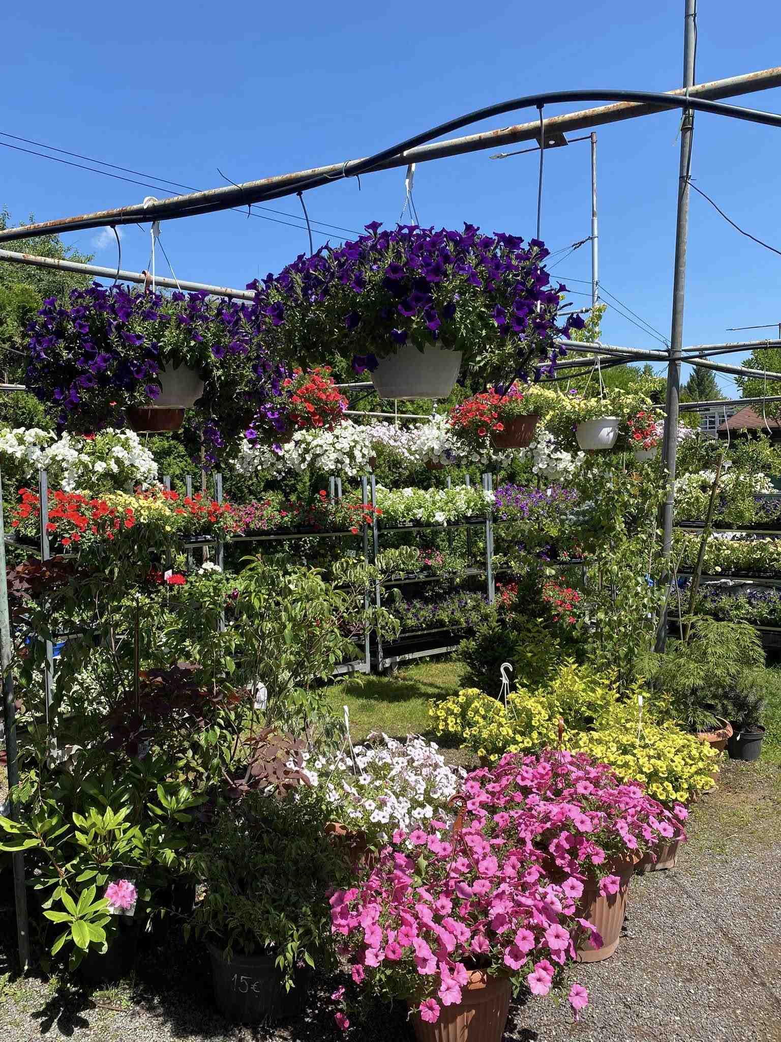 Semiramis - gardencentrum