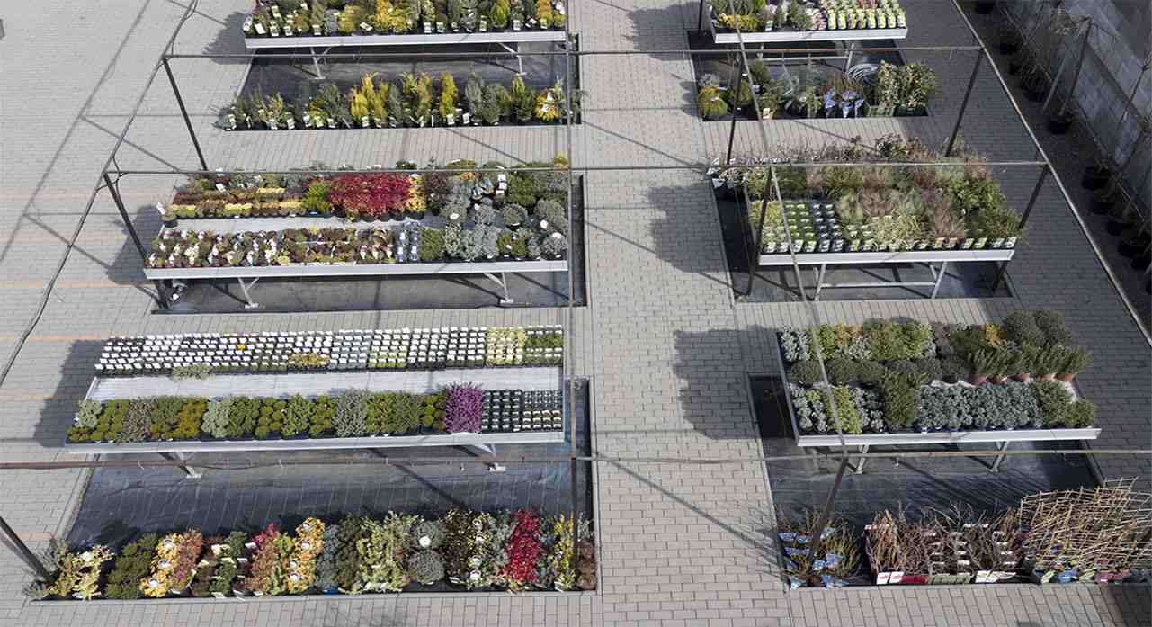 Garden Design