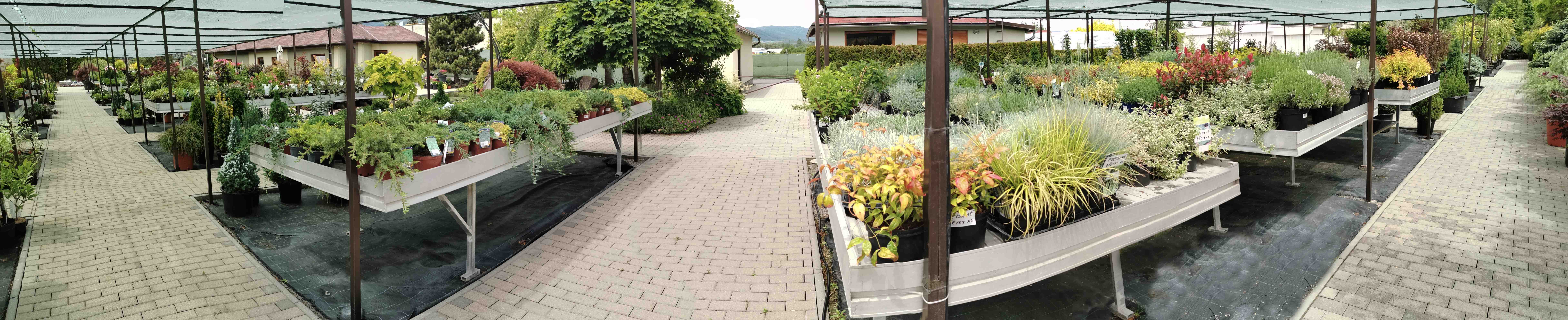 Garden Design