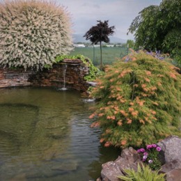Garden Design