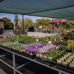 Garden Design