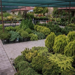 Garden Design