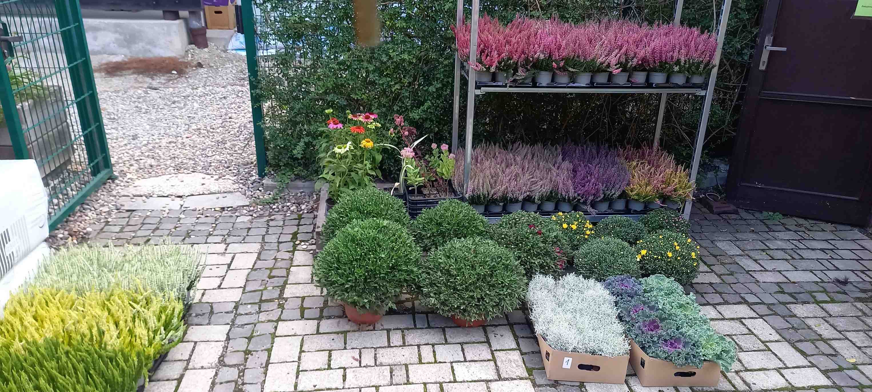 Záhradníctvo Alpinum
