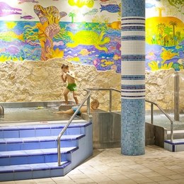 Wellness SPA Bardejovské kúpele