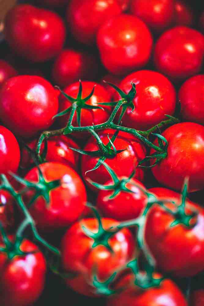 FARMAMARKET