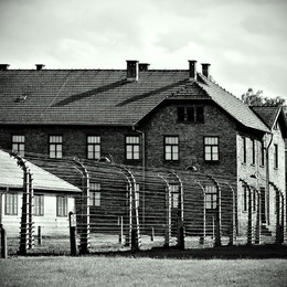 Focusgraf