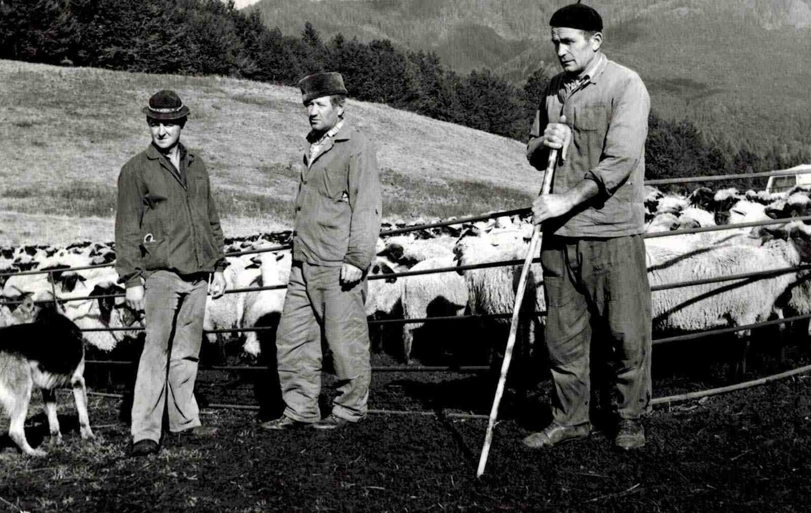 Farma Zlatý vŕšok