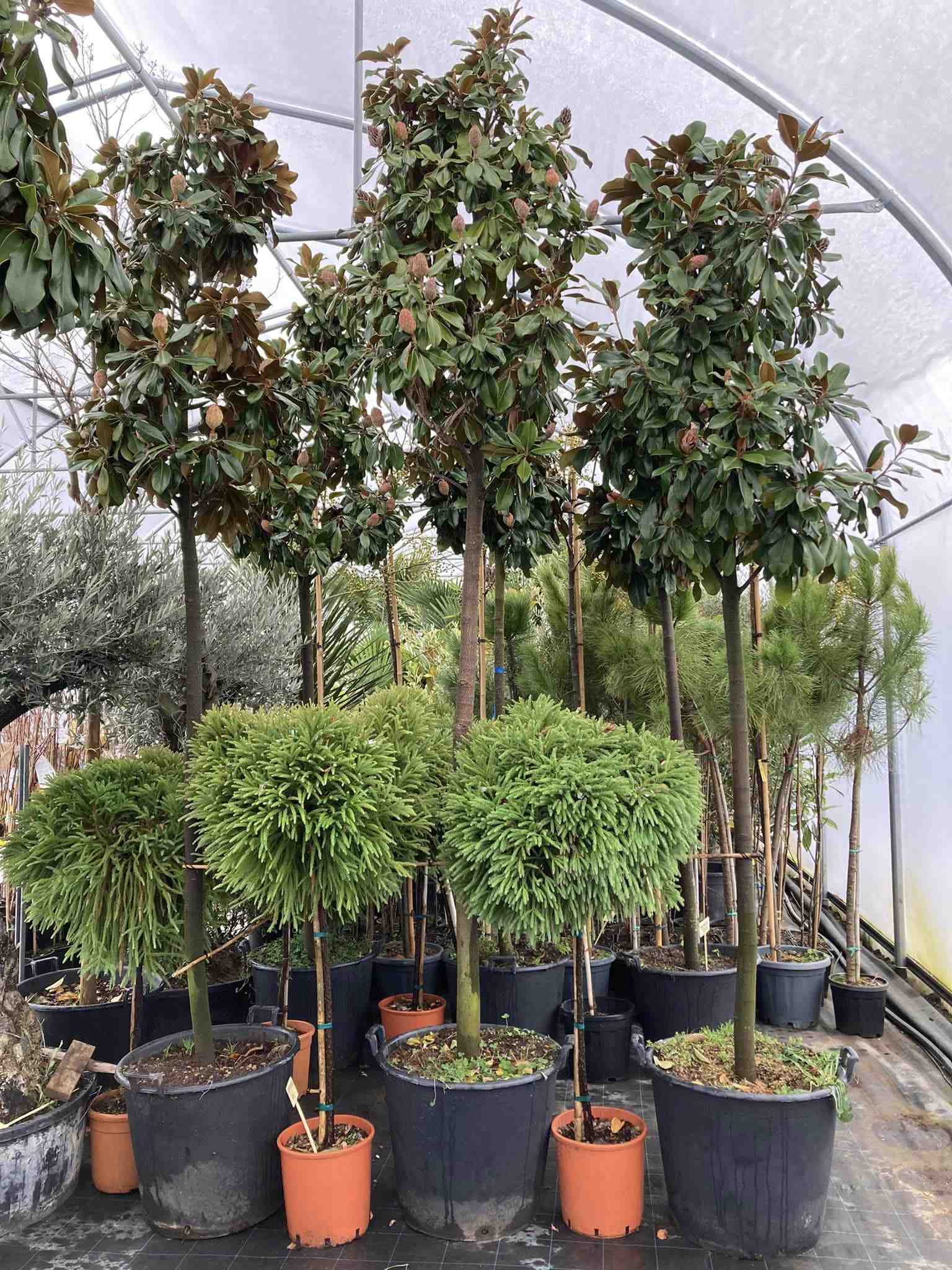 Záhradné centrum Eden Plant