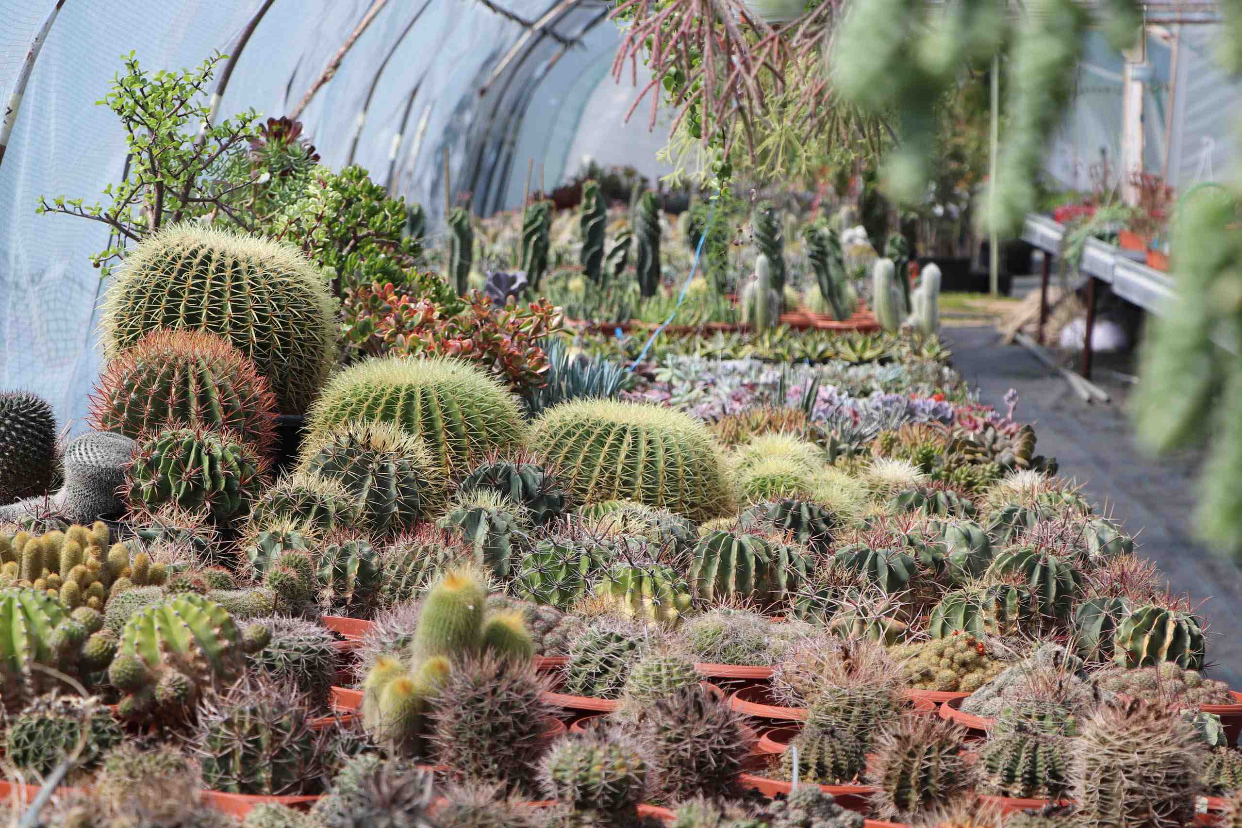 Záhradné centrum Eden Plant