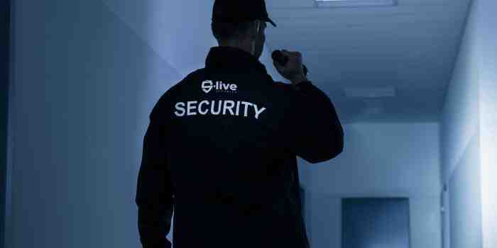 Š-live Security