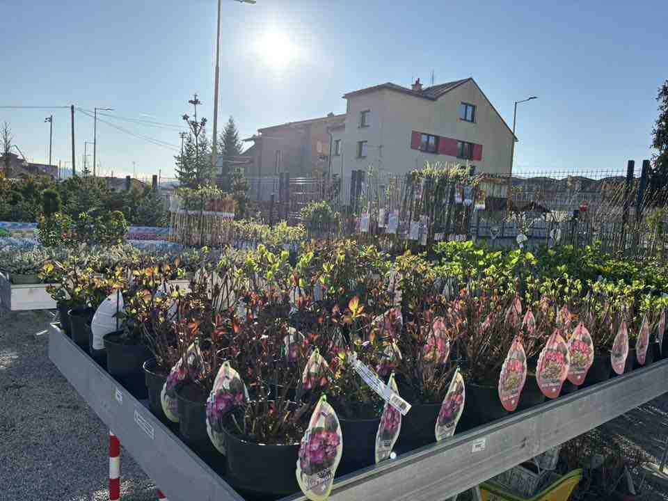 Profi Garden