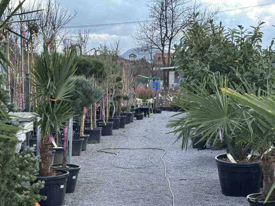 Profi Garden