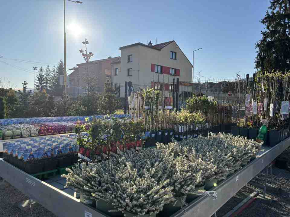 Profi Garden