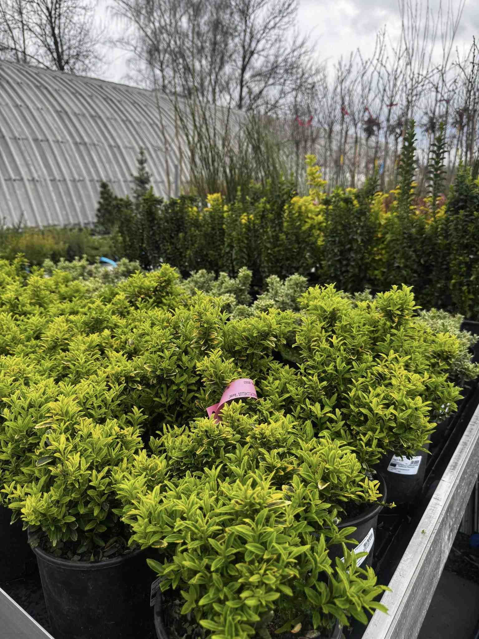 Profi Garden