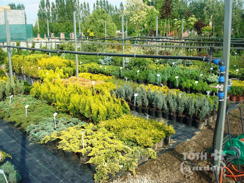 Záhradné centrum TÓTH GARDEN