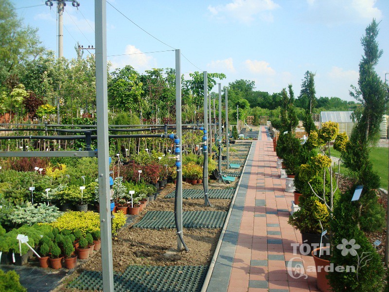 Záhradné centrum TÓTH GARDEN