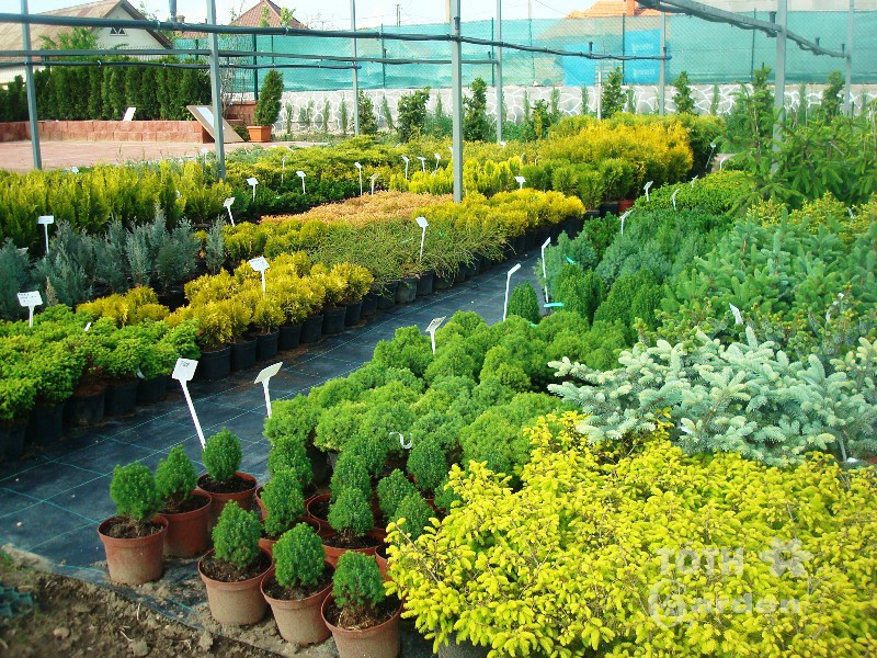 Záhradné centrum TÓTH GARDEN