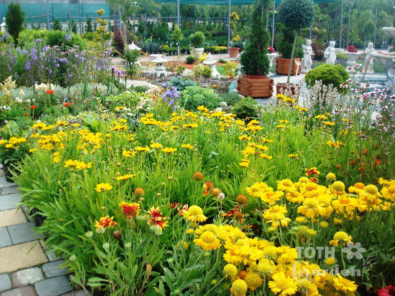 Záhradné centrum TÓTH GARDEN