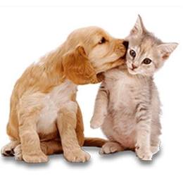 Happy Pets