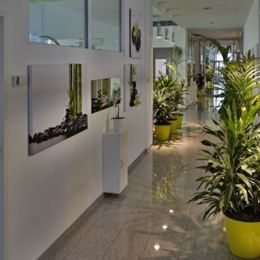 Bella Studio