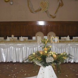 Eleganza