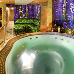 Hotel FIS***