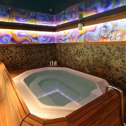 Wellness Hotel Borovica ****