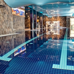 Wellness Hotel Borovica ****