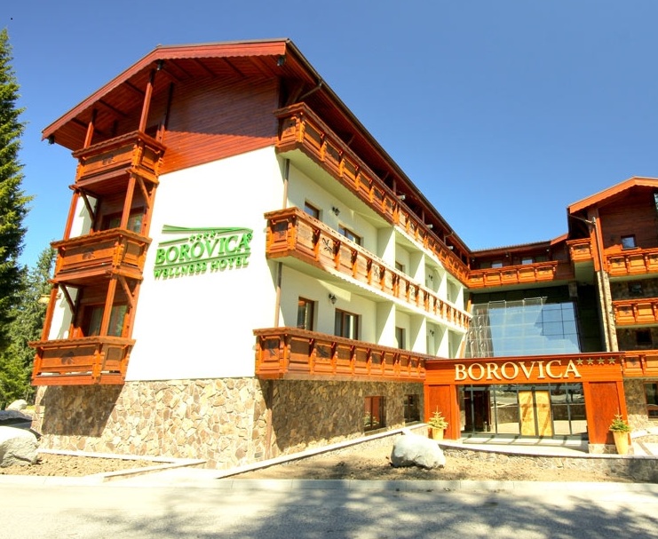 Wellness Hotel Borovica ****