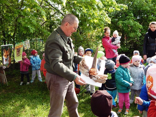 Materská škola a Detské jasle  Slniečko 