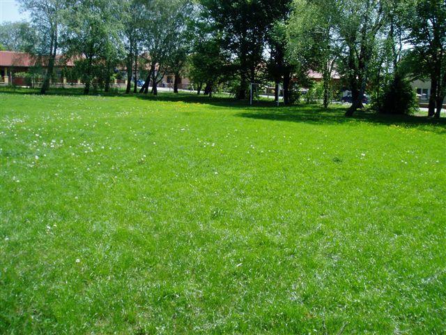 Súkromné jasle a materská škôlka JARKA