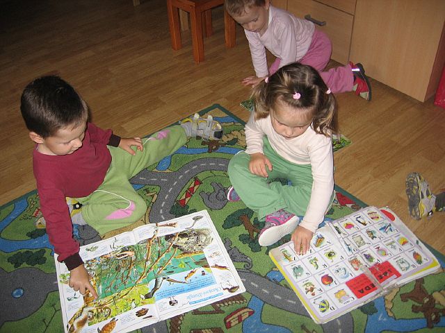 Súkromné jasličky BRNKA