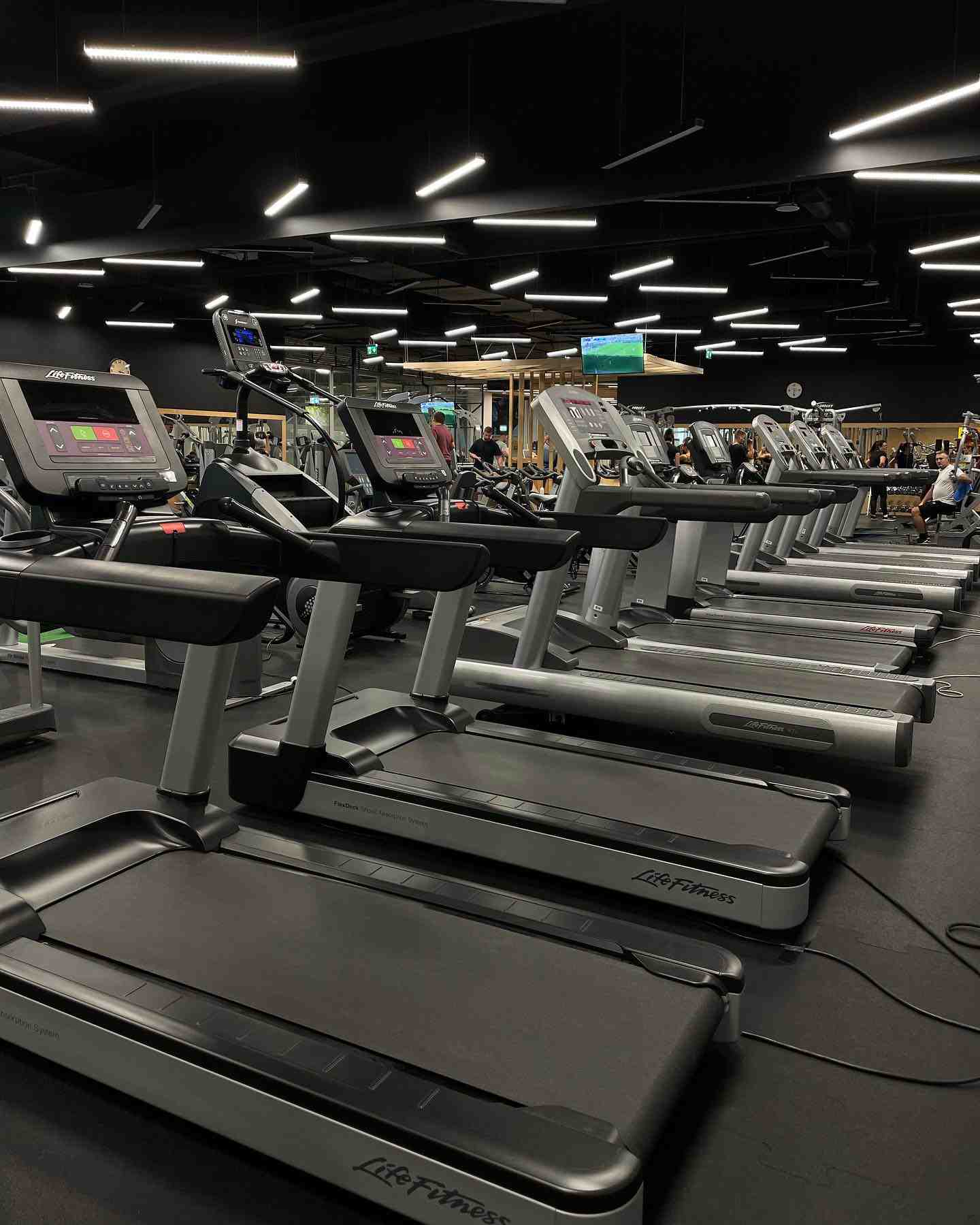 BodyWorld Fitness