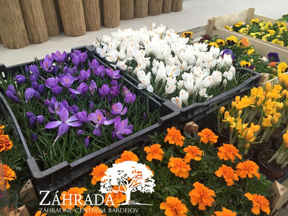 Záhradné centrum ZÁHRADA Bardejov