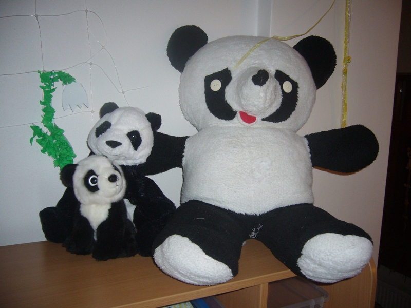 Jasle Panda