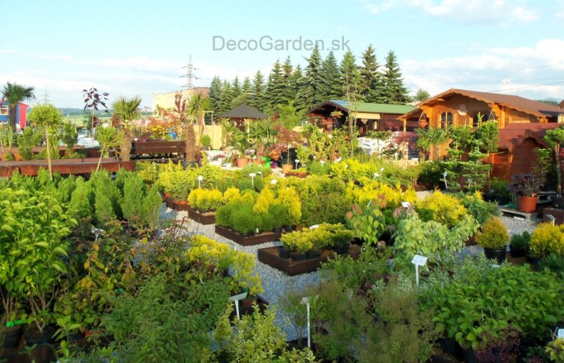 Deco Garden Ružomberok
