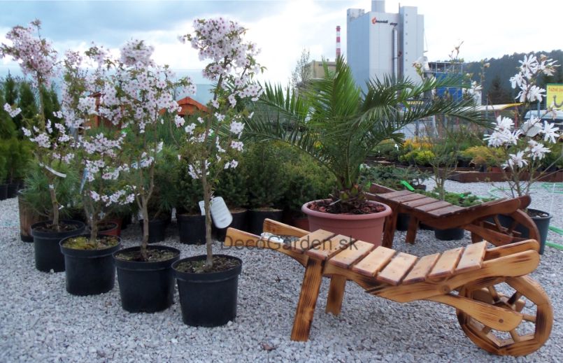 Deco Garden Ružomberok