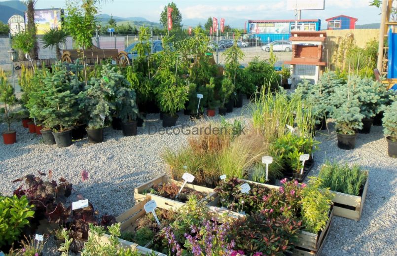 Deco Garden Ružomberok