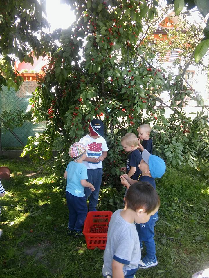 Detské centrum štvorlístok s. r. o.