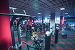 M-GYM