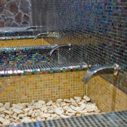 Wellness Hotel Borovica ****